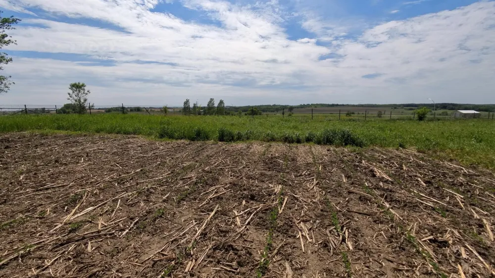tbd 31st Avenue NW Oronoco, MN 55960