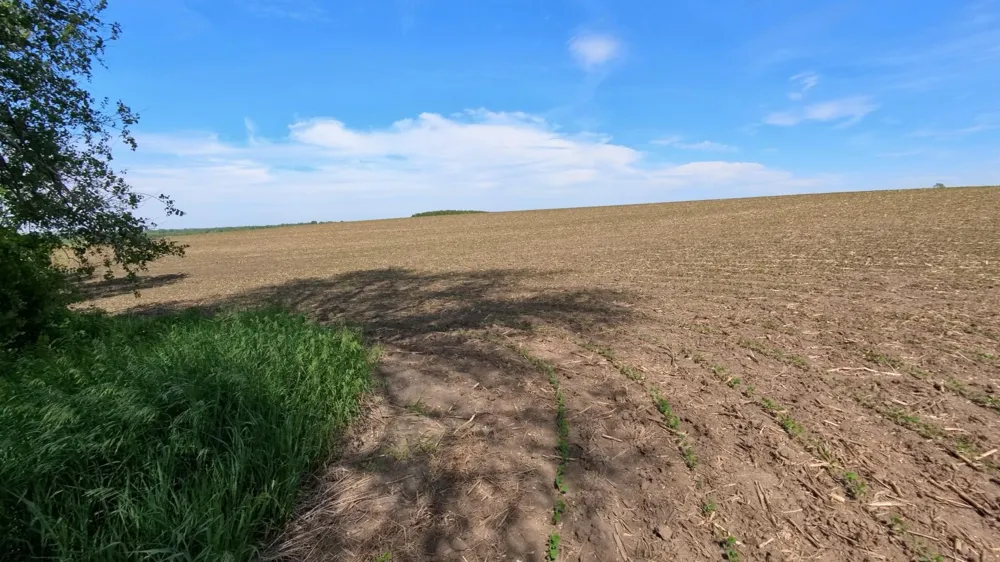 tbd 31st Avenue NW Oronoco, MN 55960
