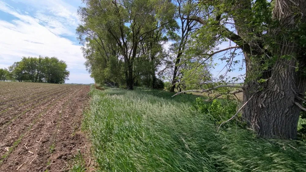 tbd 31st Avenue NW Oronoco, MN 55960