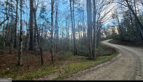 481 McKay RD