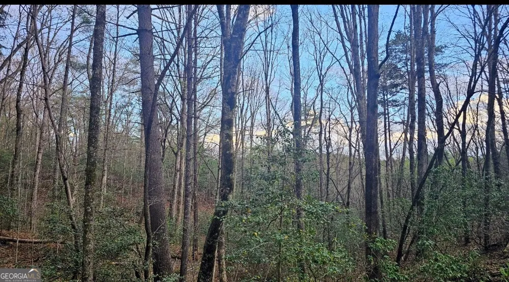 481 McKay RD Lakemont, GA 30552
