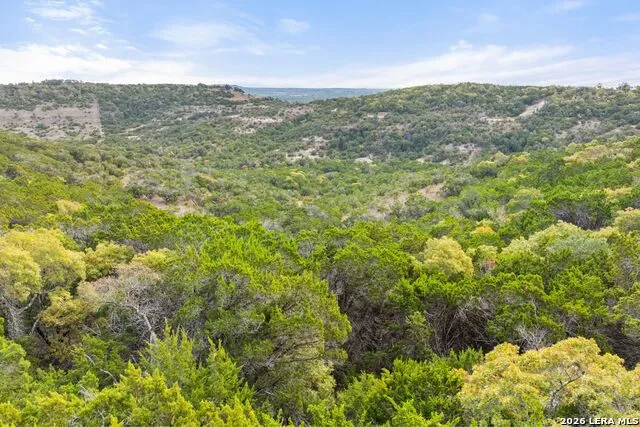 1600 Brushy Ridge Trail Blanco, TX 78606