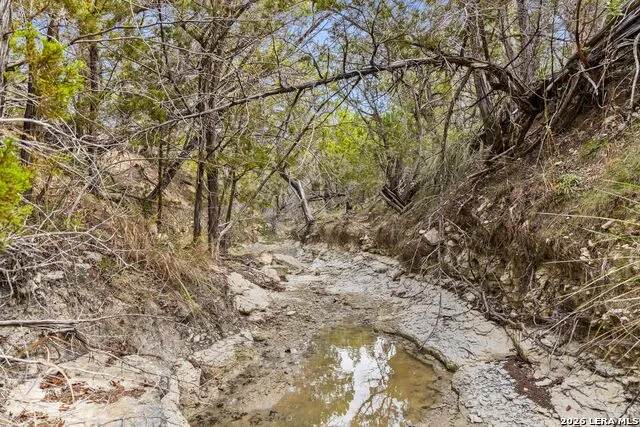 1600 Brushy Ridge Trail Blanco, TX 78606