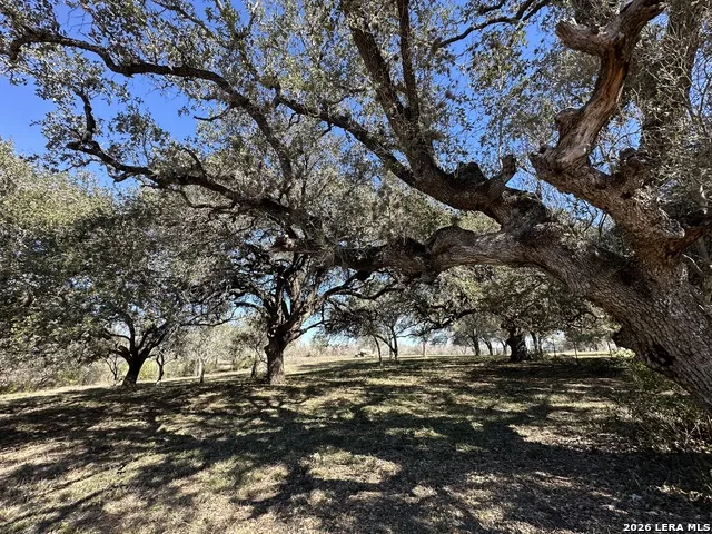 TBD Highway 181 Beeville, TX 78102