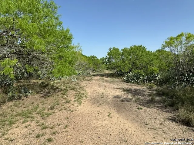 16 Windmill Ranchettes CR 329 Jourdanton, TX 78026