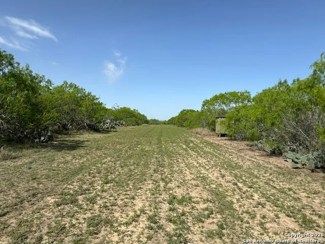16 Windmill Ranchettes CR 329 Jourdanton, TX 78026