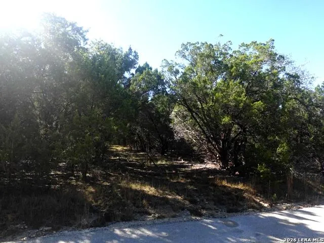 110 Estates Wimberley, TX 78676