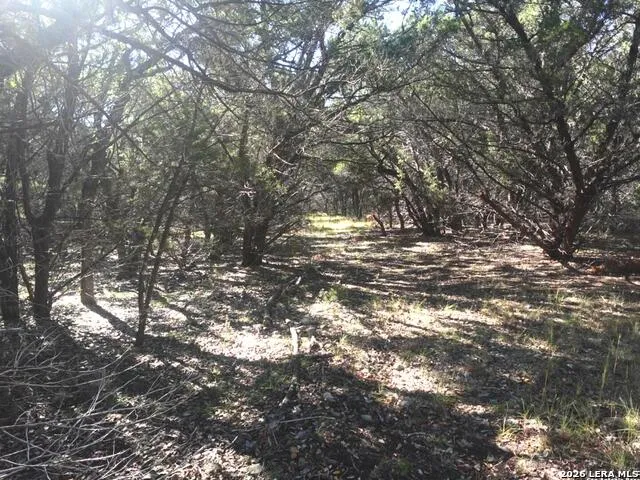 110 Estates Wimberley, TX 78676
