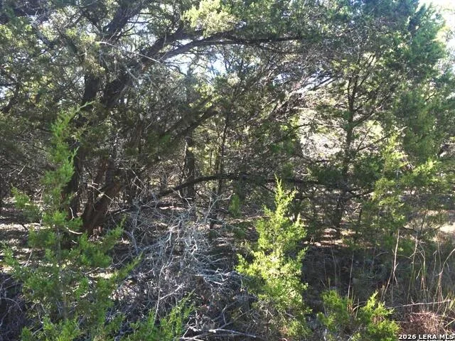 110 Estates Wimberley, TX 78676