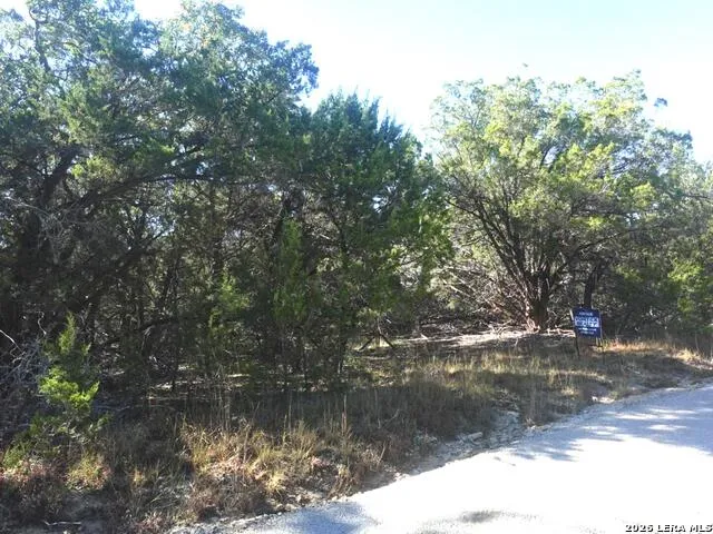 110 Estates Wimberley, TX 78676