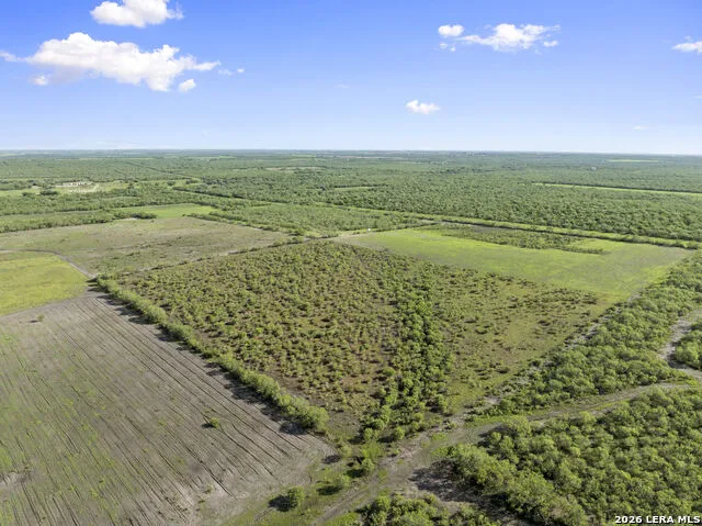 3407 Cr 215 McCoy, TX 78147