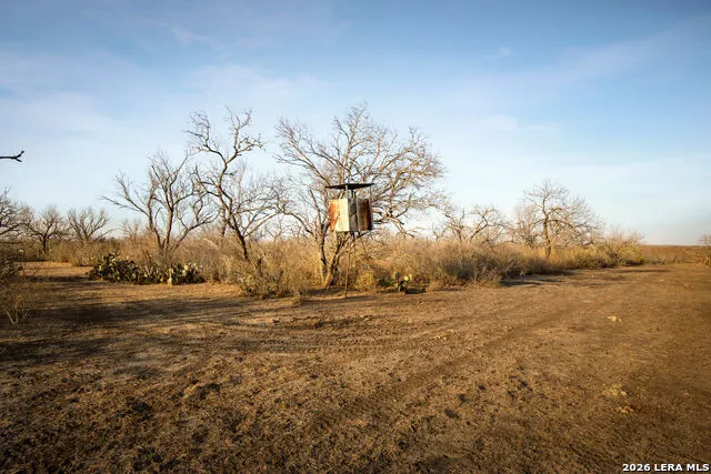 3407 Cr 215 McCoy, TX 78147