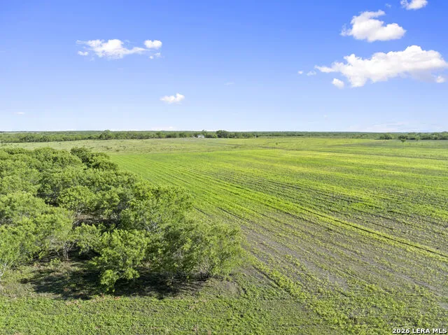 3407 Cr 215 McCoy, TX 78147