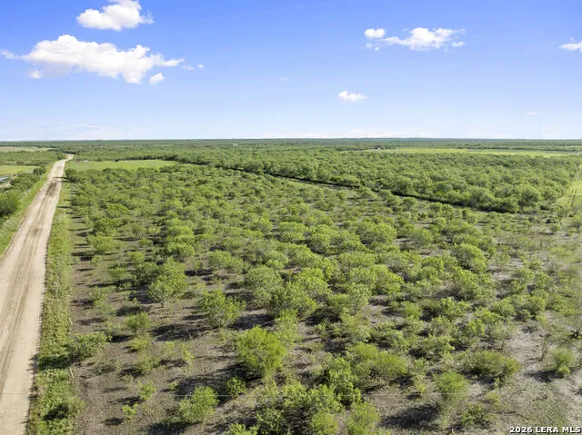 3407 Cr 215 McCoy, TX 78147