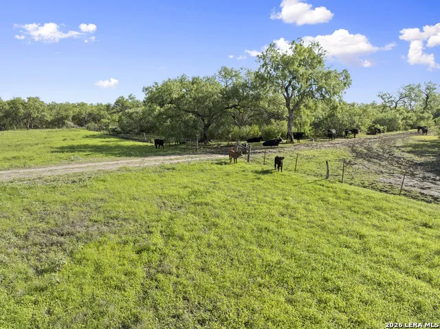 3407 Cr 215 McCoy, TX 78147