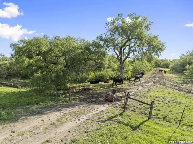 3407 Cr 215 McCoy, TX 78147