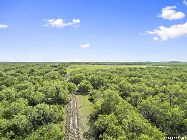3407 Cr 215 McCoy, TX 78147