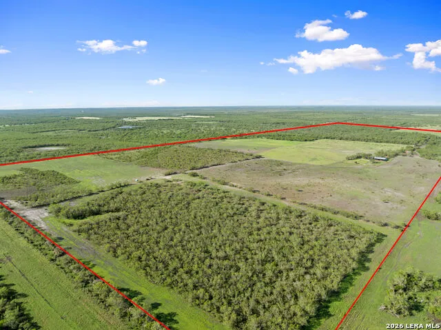 3407 Cr 215 McCoy, TX 78147