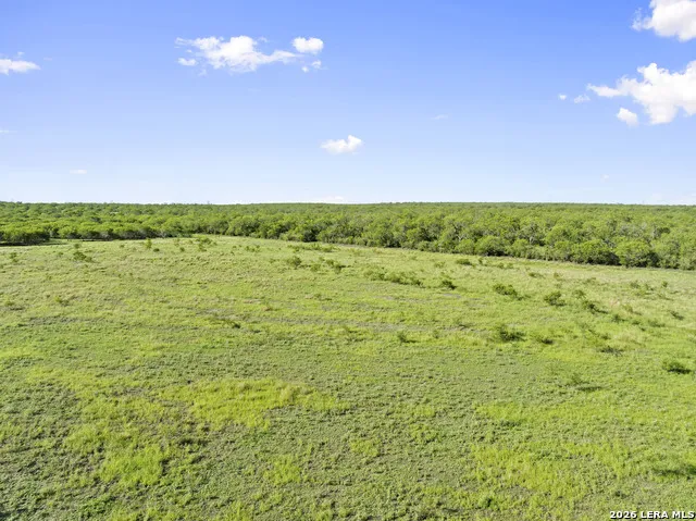 3407 Cr 215 McCoy, TX 78147