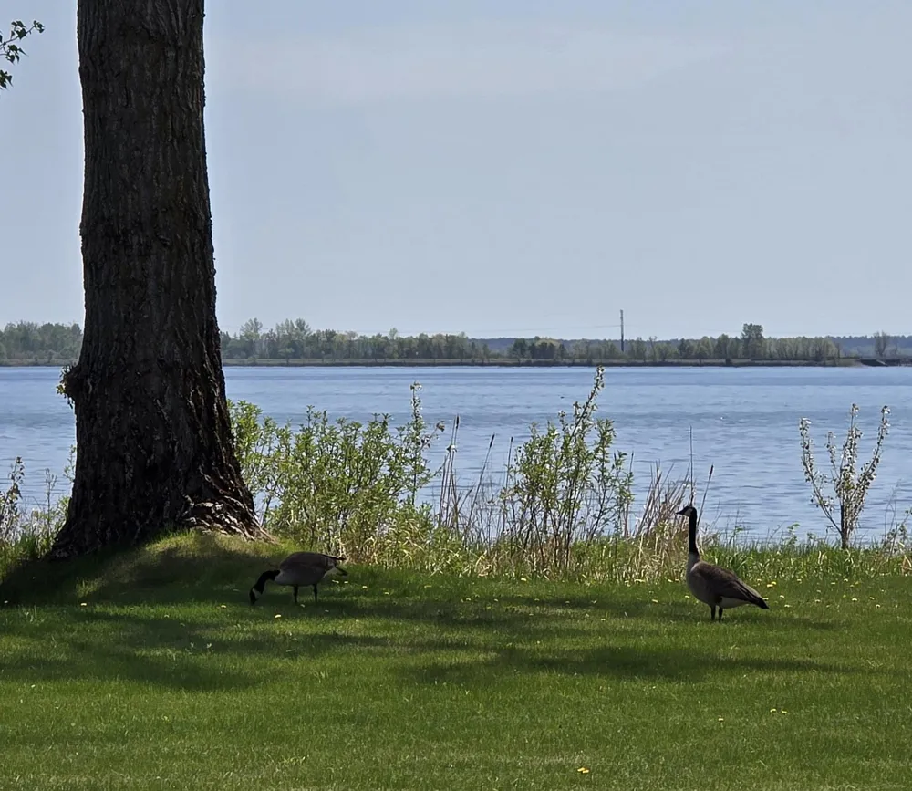 5882 Lakeshore Lane NW Cass Lake, MN 56633