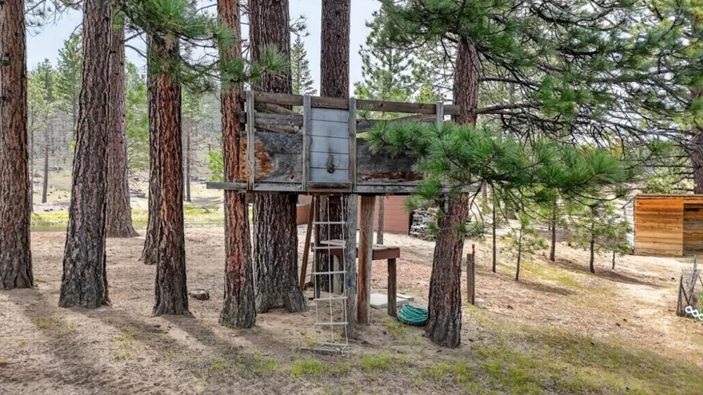 469600 Amesbury Drive Susanville, CA 96130