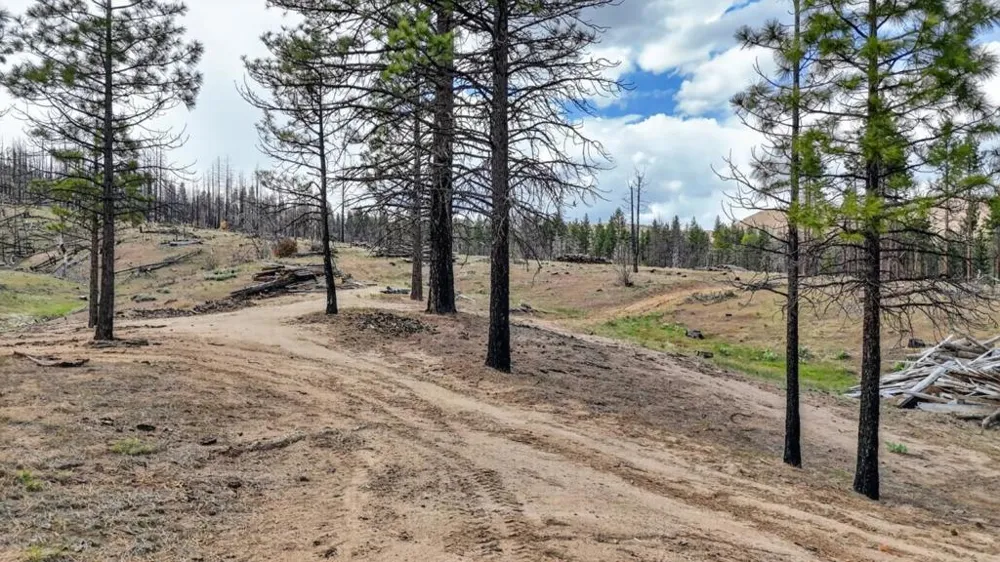 469600 Amesbury Drive Susanville, CA 96130