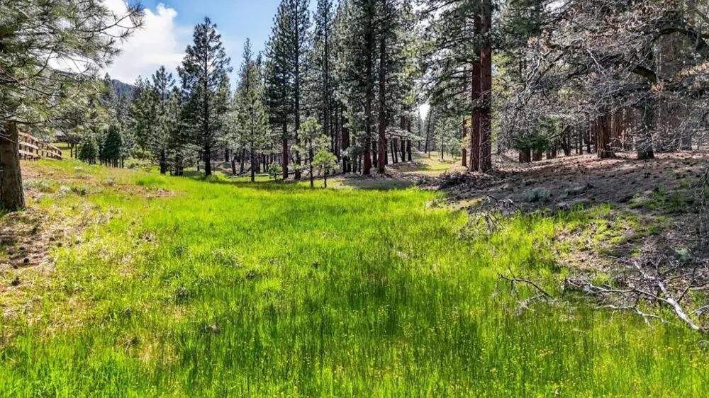 469600 Amesbury Drive Susanville, CA 96130