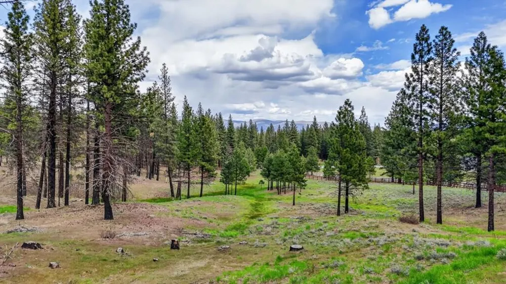 469600 Amesbury Drive Susanville, CA 96130