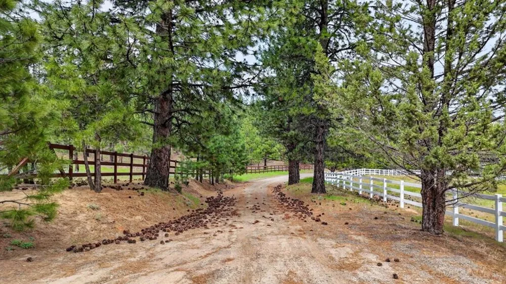 469600 Amesbury Drive Susanville, CA 96130