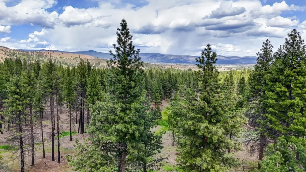 469600 Amesbury Drive Susanville, CA 96130