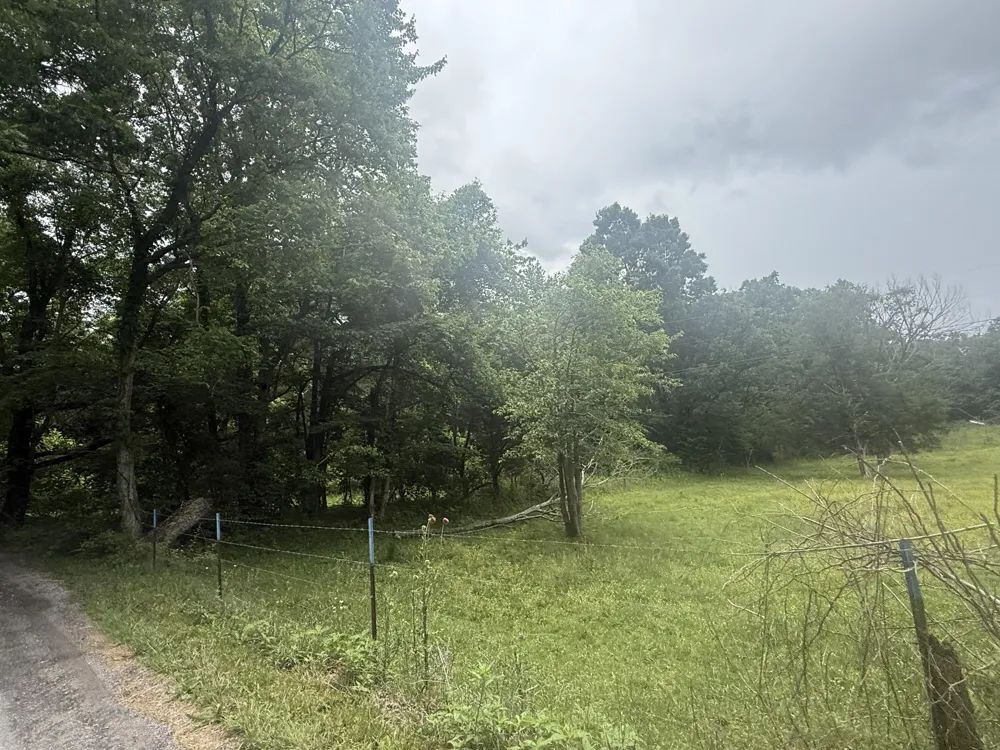 Vander Ferguson Road Graysville, TN 37338