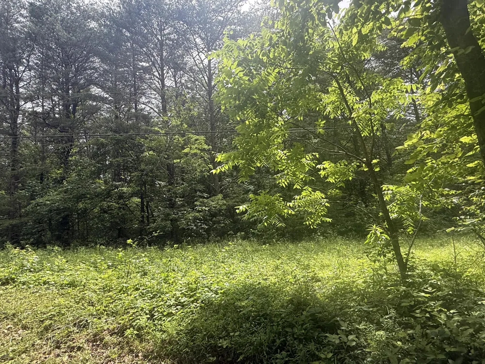 Vander Ferguson Road Graysville, TN 37338