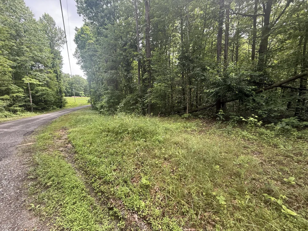Vander Ferguson Road Graysville, TN 37338