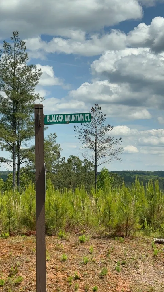197 Blalock Mountain Court Talking Rock, GA 30175