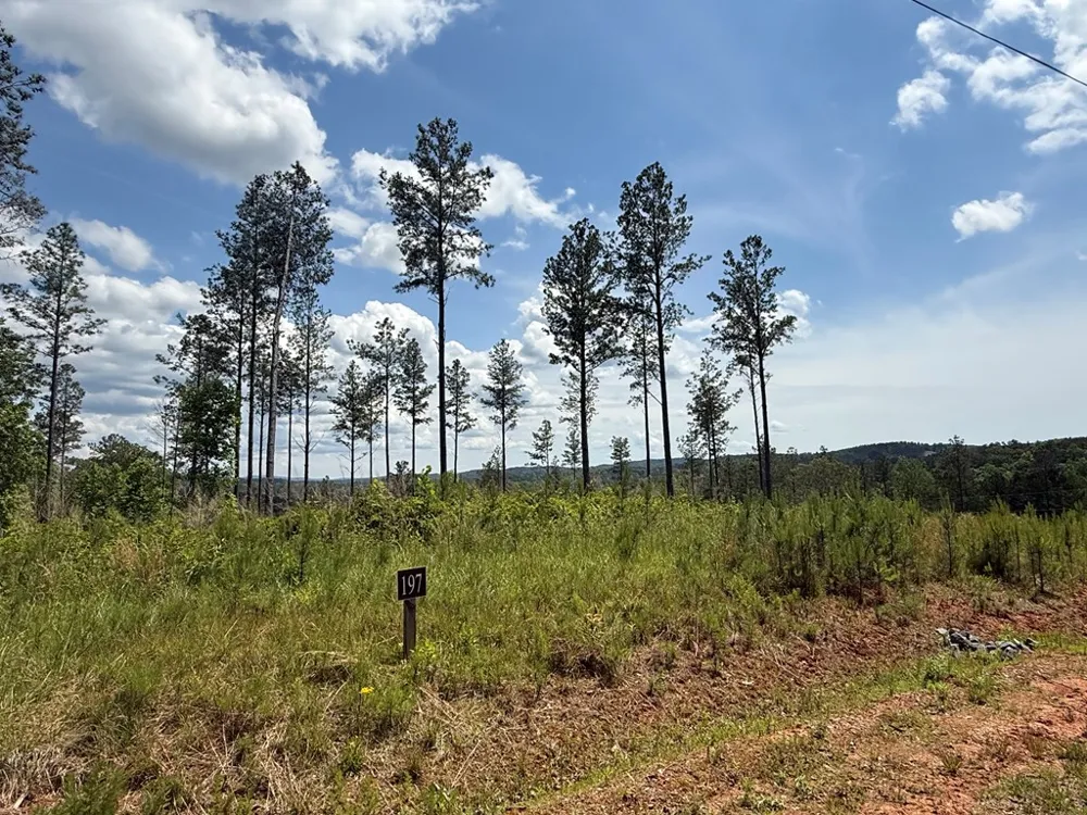 197 Blalock Mountain Court Talking Rock, GA 30175