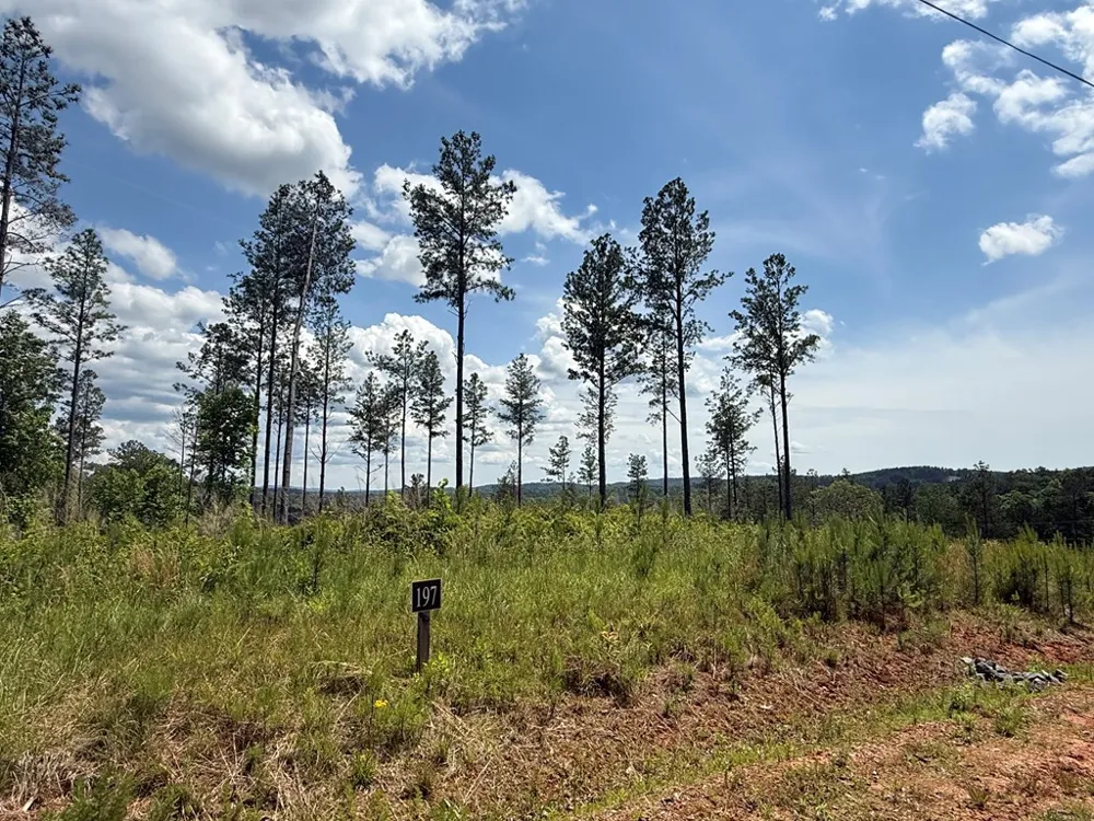 197 Blalock Mountain Court Talking Rock, GA 30175