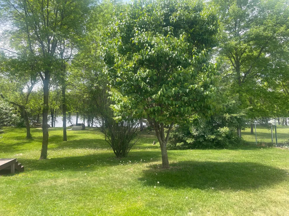 2761 Mississippi Shores Road Fort Ripley, MN 56449