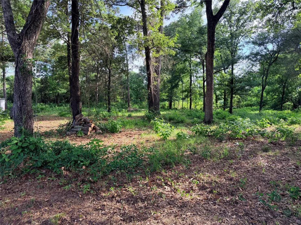 1468 VZ County Road 4207 Canton, TX 75103