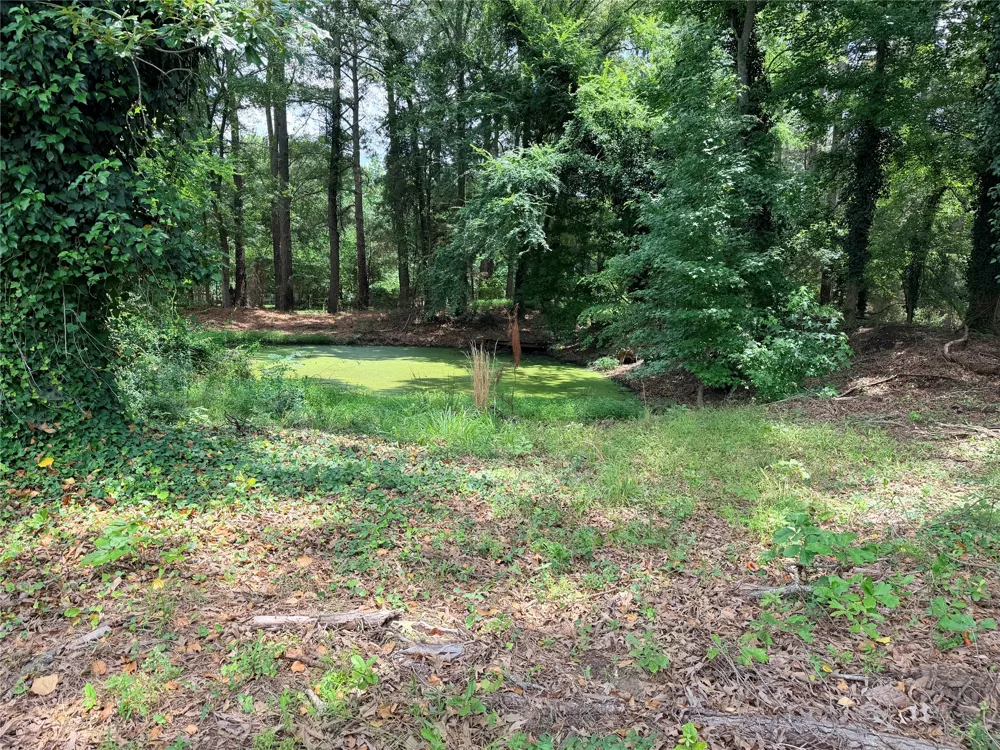 1468 VZ County Road 4207 Canton, TX 75103