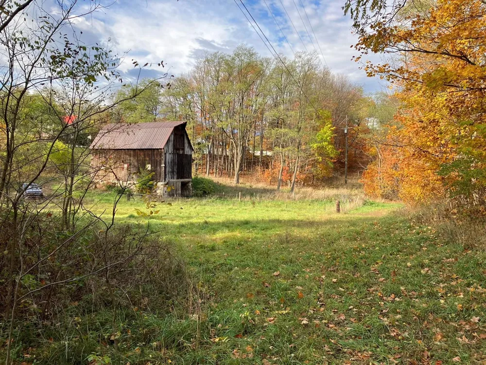 7699 Benzie Highway Joyfield Township, MI 49616