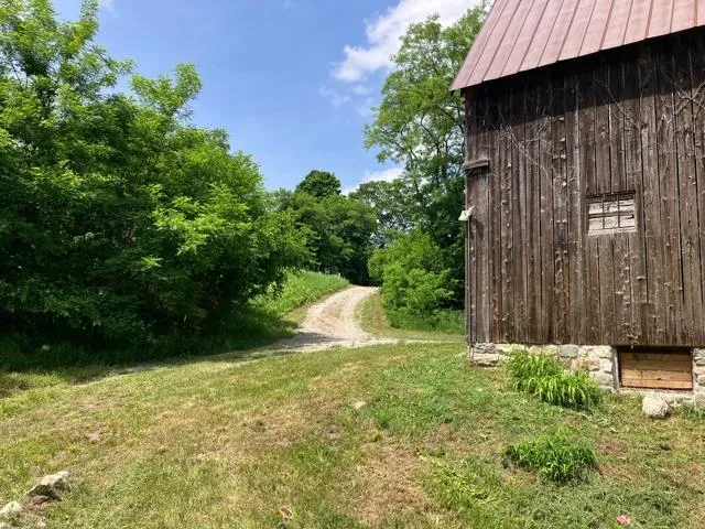 7699 Benzie Highway Joyfield Township, MI 49616
