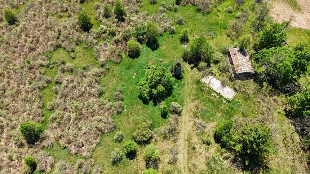 7015 E Harrison Road Walkerville, MI 49459