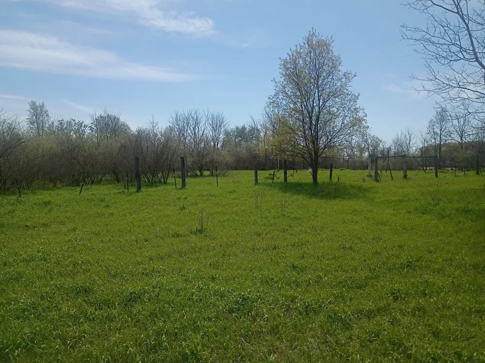 7015 E Harrison Road Walkerville, MI 49459