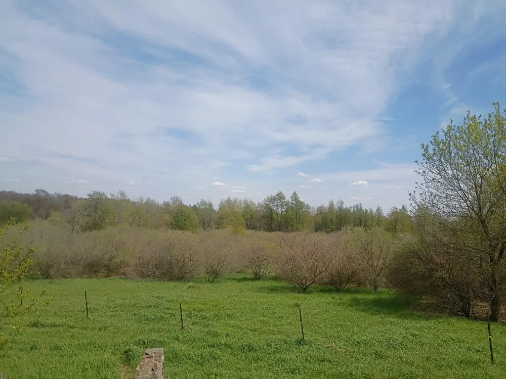 7015 E Harrison Road Walkerville, MI 49459