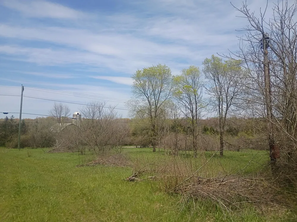 7015 E Harrison Road Walkerville, MI 49459