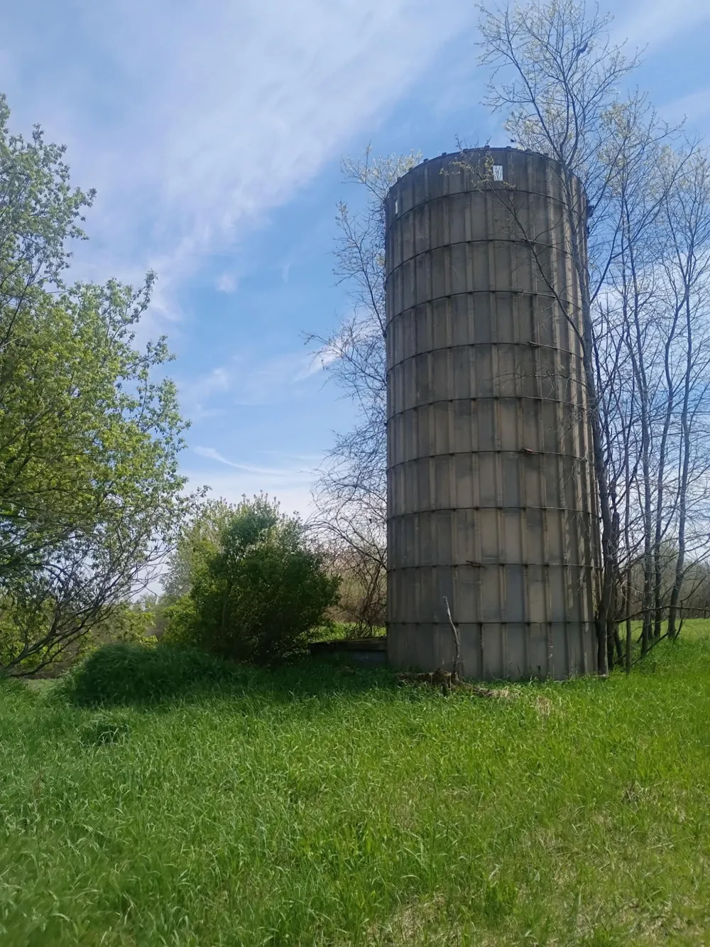 7015 E Harrison Road Walkerville, MI 49459