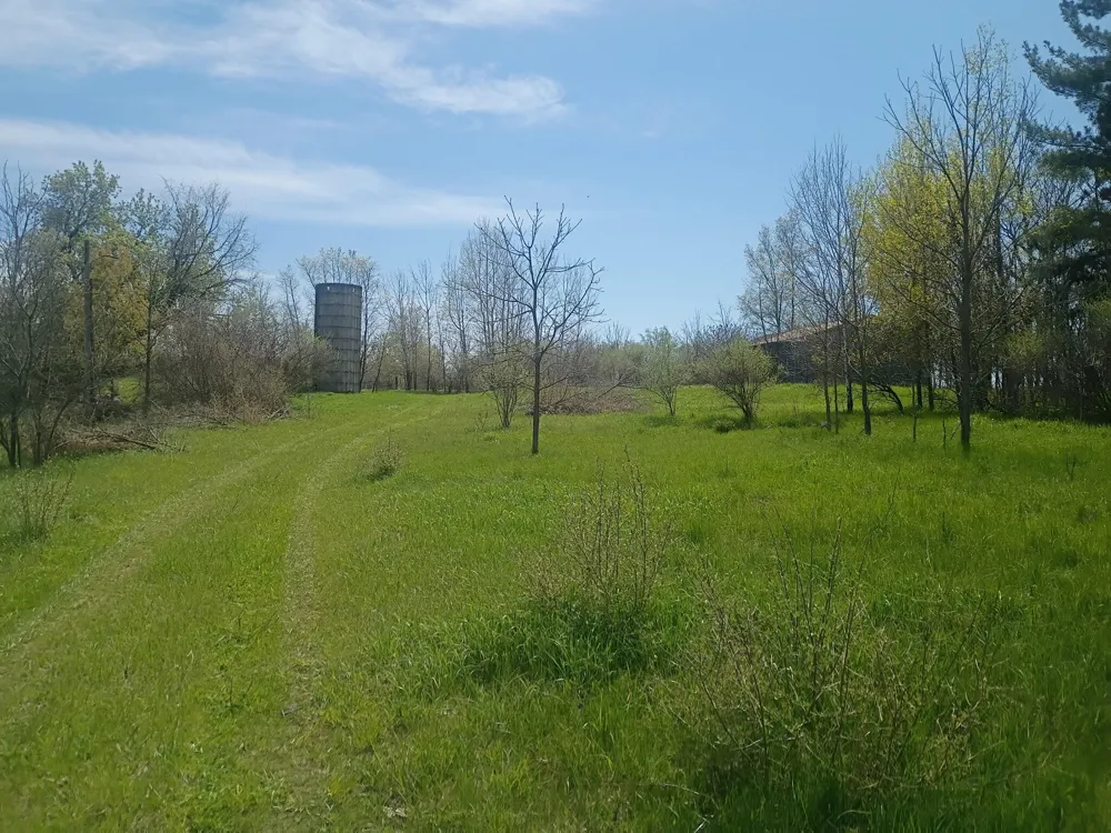 7015 E Harrison Road Walkerville, MI 49459