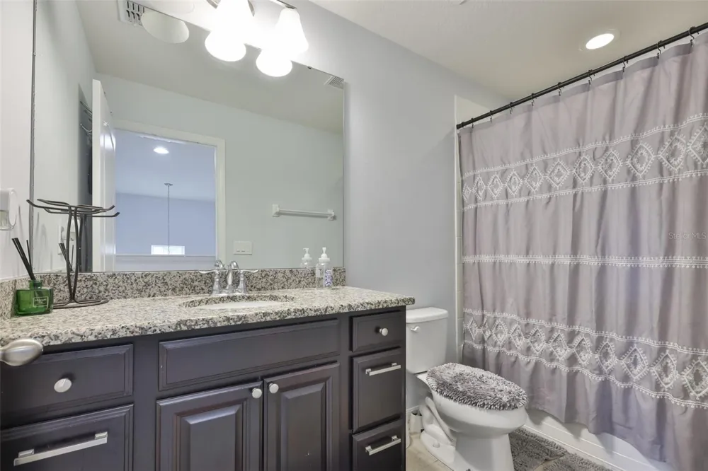 3019 OLD FULTON PLACE Brandon, FL 33510