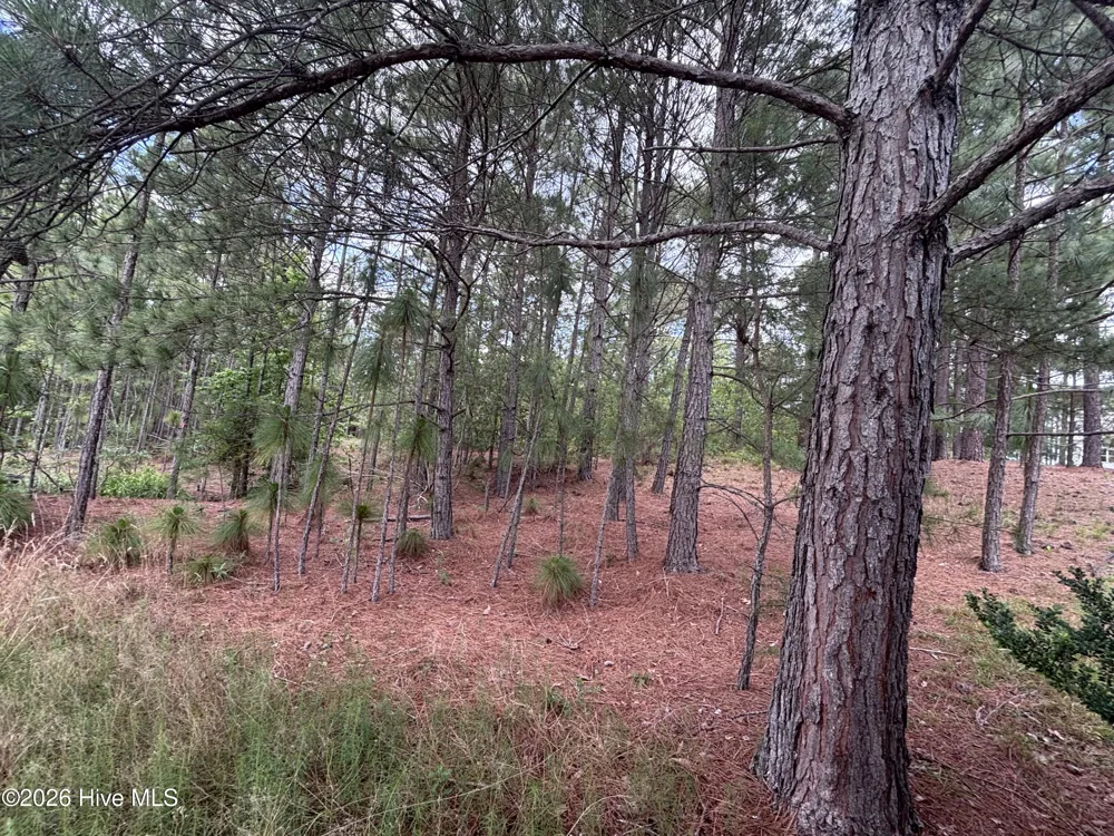 111 Callis Circle West End, NC 27376
