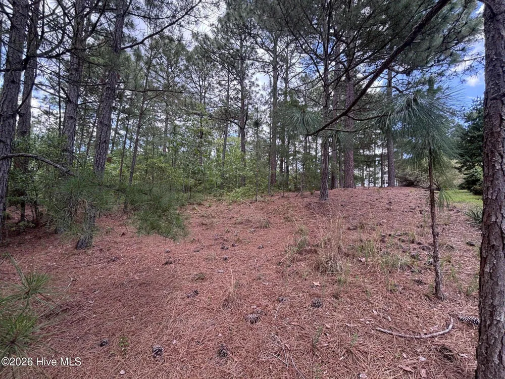 111 Callis Circle West End, NC 27376